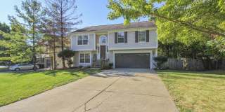 FENCED IN YARD!!!  Beautiful 4/3 UPDATED SF Home in Gaithersburg Gallery 7