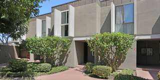 3054 Rue Dorleans Gallery 32
