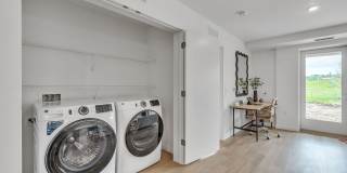 Esox House Gallery 107