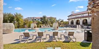 Water Oak Gallery 24