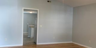 3 BD, 2 BA House: Freshly Painted + New Flooring + Available Now! Gallery 8