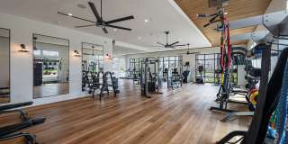 Elevate Navarre Elevate Navarre Gallery 29