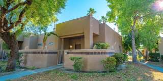 28984 Desert Princess Drive Gallery 19