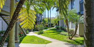 Elan Tamarack Shores Gallery 1