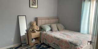4251 Pine Hollow Circle Gallery 6