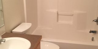 Beautiful 4-Bedroom Home South Fort Collins! Gallery 9