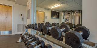 Shiplock Views Gallery 14