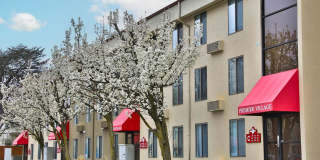 Premier Village Apartments Gallery 1