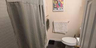 99 Norfolk St. Gallery 1