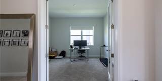 13939 Prickly Cone Cv Gallery 22