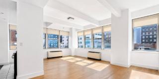 43 Murray St Gallery 1