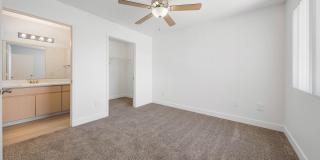The Colony Apartments Gallery 11