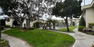 Ikaria Apartments Gallery 2