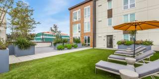 Ellis at Bel-Red Gallery 13