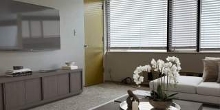 Terrace Apartments Gallery 12