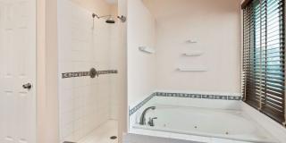 Large Home in Stonegate! Gallery 17