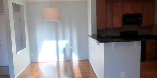 1601 SPRING GATE Drive Gallery 6