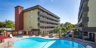 Vista Torre Gallery 13