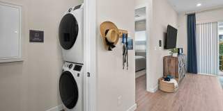 Yardly Cypress Gallery 16