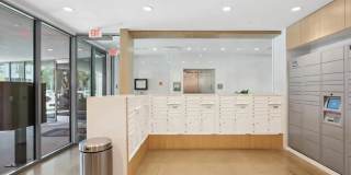 Little Zoe Gallery 15