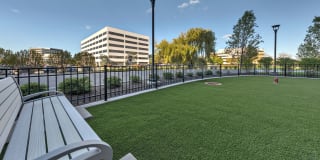 TGM Northshore Gallery 27