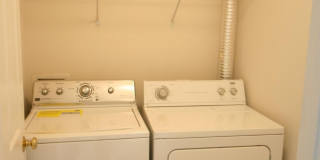 8250 RED CARNATION Court Gallery 7