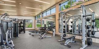 Halpine View Gallery 28