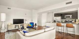 Ellis Bethesda Gallery 29