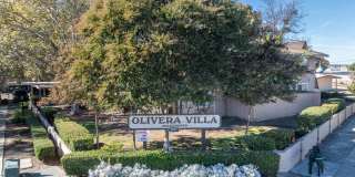 Olivera Villa Gallery 40