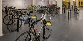 Watermark Buzzard Point Gallery 42