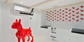 10X Las Olas Walk 10X Las Olas Walk Gallery 35