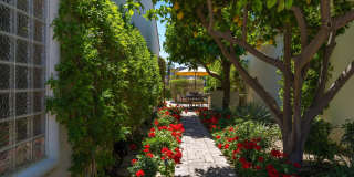 79365 Mandarina Gallery 44