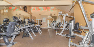 Summit At Warner Center Gallery 19