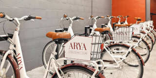 Arya Gallery 49