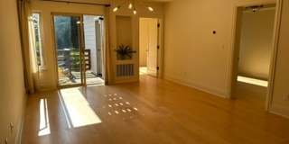 Epic REA- Serene 2 BR/1 BA Flat w/Private Deck & Yard in Lone Mountain Gallery 5