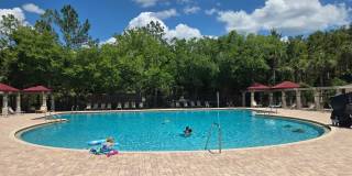 Freshly Painted 4BR/2BA Pool Home with Screened Pool & Spa – Move-In Ready! Gallery 20
