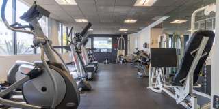 The Encore Gallery 26