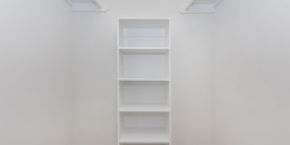 Autumn Wood Gallery 14