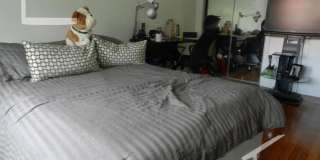 Fantastic Deal in Brighton; 4-Beds, 2-Baths Under 1K per Person Gallery 5