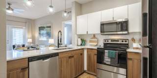 The Enclave at Tranquility Lake Apartments Gallery 4