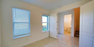 7389 ALPINE BUTTERFLY Lane Gallery 12
