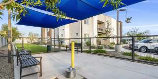 The Aster at Mountain Vista - BRAND NEW Gallery 38