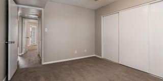 Rise on Cactus Gallery 108