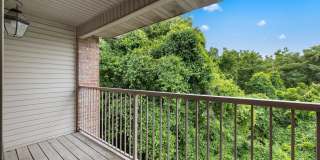 Sherwood Village Gallery 21