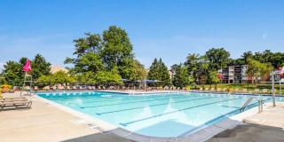 Cinnamon Run at Peppertree Farm Gallery 25