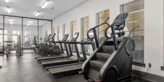 Water Oak Gallery 35