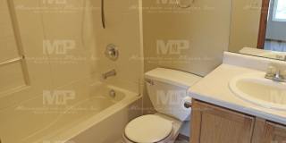 303 Plowman Court Gallery 17