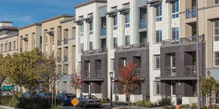 Aster - Affordable Housing Gallery 16