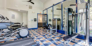 Canyon Resort at Great Hills Apartments Canyon Resort at Great Hills Apartments Gallery 20