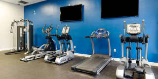 Advenir at the Oaks Gallery 16